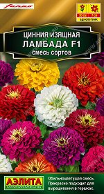 Цинния Ламбада F1, смесь сортов