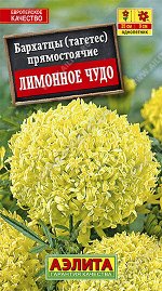 Бархатцы Лимонное чудо