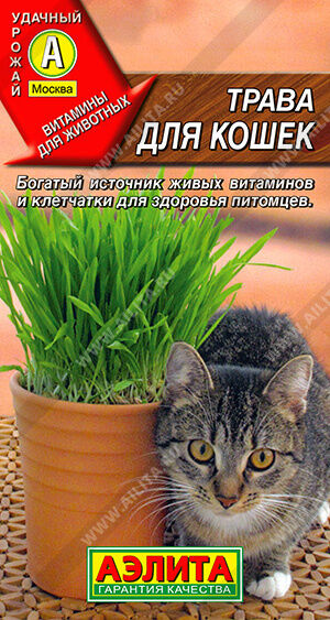 Трава для кошек / Трава для кошек Любимое лакомство