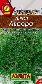 Укроп Аврора