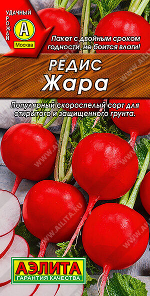 Редис Жара Популярный скороспелый сорт. Формирует урожай за 3-3,5 недели от всходов. Корнеплоды массой 18-27 г. Мякоть белая и бело-розовая, плотная, сочная, слабоострого вкуса. Сорт холодостойкий, ус