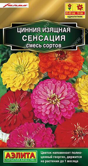 Цинния Сенсация, смесь сортов