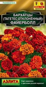 Бархатцы Файерболл отклоненные