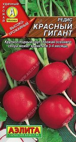 Редис Красный гигант