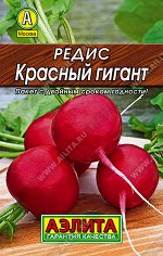 Редис Красный гигант