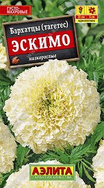 Бархатцы Эскимо