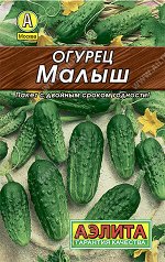Огурец Малыш