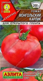 Томат Монгольский карлик