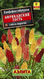 Книфофия Африканский гость, смесь окрасок