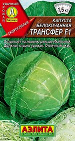 Капуста б/к Трансфер F1