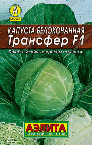 Капуста б/к Трансфер F1