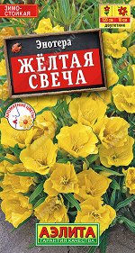 Энотера Желтая свеча