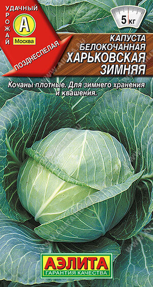 Капуста б/к Харьковская зимняя