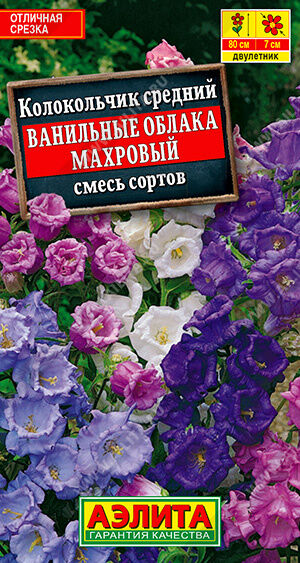 Колокольчик Ванильные облака, смесь сортов