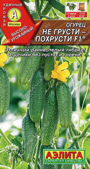Огурец Не грусти похрусти F1 ®