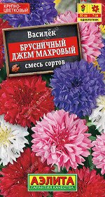 Василек Брусничный джем махровый, смесь сортов