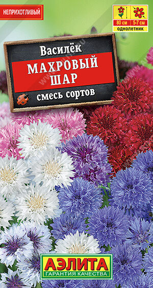 Василек Махровый шар, смесь сортов