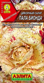 Салат Цикорный салат Пала Бионда