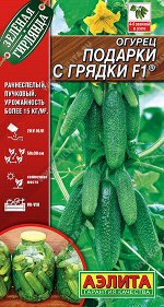 Огурец Подарки с грядки F1 ®