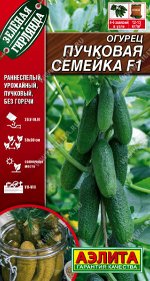 Огурец Пучковая семейка F1