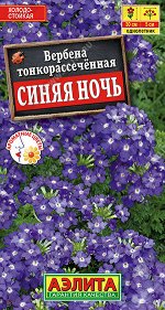 Вербена Синяя ночь