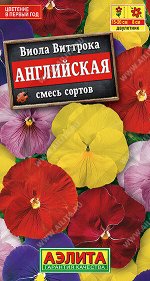 Виола Английская, смесь сортов