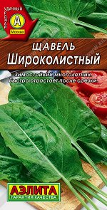 Щавель Широколистный