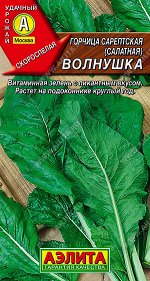 Горчица салатная Волнушка