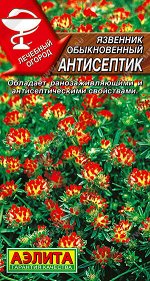 Язвенник Антисептик