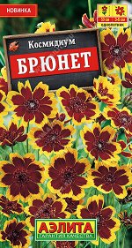 Космидиум Брюнет