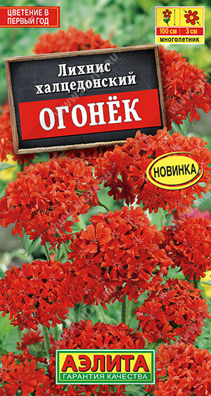Лихнис Огонек