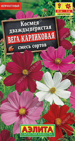 Космея Вега карликовая, смесь сортов