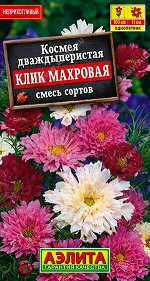 Космея Клик махровая, смесь сортов