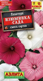 Лаватера Изюминка сада, смесь сортов