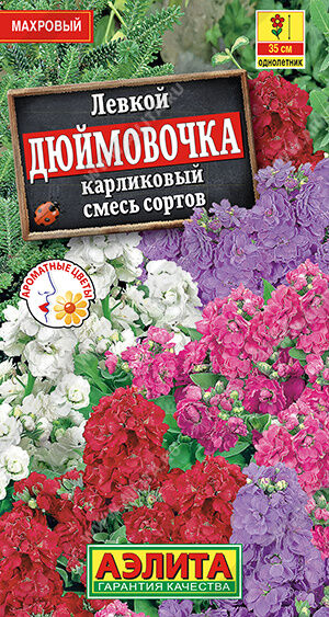 Левкой карликовый Дюймовочка, смесь сортов