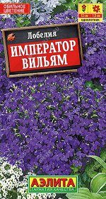 Лобелия Император Вильям