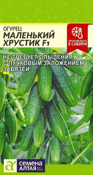 Огурец Маленький Хрустик F1/Сем Алт/цп 6 шт.