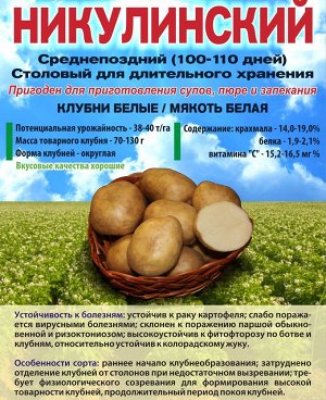Сорт картофеля Никулинский