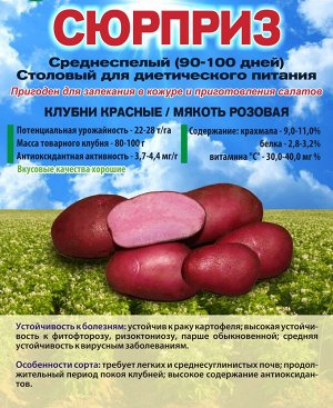 Сорт картофеля Сюрприз *