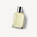 BURBERRY WEEK END lady 100ml edp парфюмерная вода женская