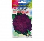 Семена Капуста цветная &quot;Пурпурная&quot;, 90 шт