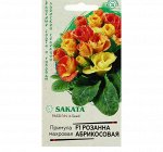 Семена цветов Примула &quot;Розанна абрикосовая&quot;, F1, махровая, серия Эксклюзив, 4 шт