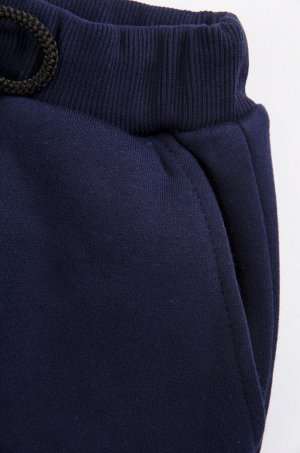 Утепленные брюки для мальчика из футера трехнитки с начесом BONITO KIDS