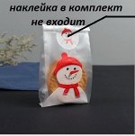 Пакет упаковочный