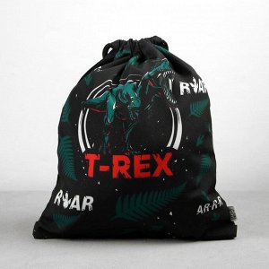 Сумка для обуви T-REX, оксфорд, размер 41х31 см 7065986