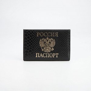 Обложка для паспорта, цвет чёрный 7447038