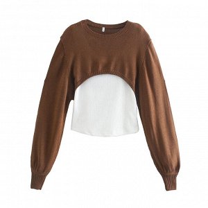 Пуловер женский, цвет: коричневый