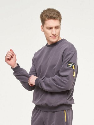 Толстовка (Свитшот) мужская 7222-17005/1   ТФ102/К102 графит/графит
