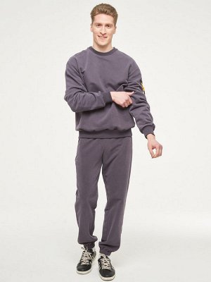 Толстовка (Свитшот) мужская 7222-17005/1   ТФ102/К102 графит/графит