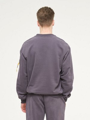 Толстовка (Свитшот) мужская 7222-17005/1   ТФ102/К102 графит/графит
